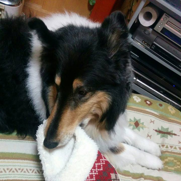 C125a96d 5684 432d bc8a cce31fdf7905