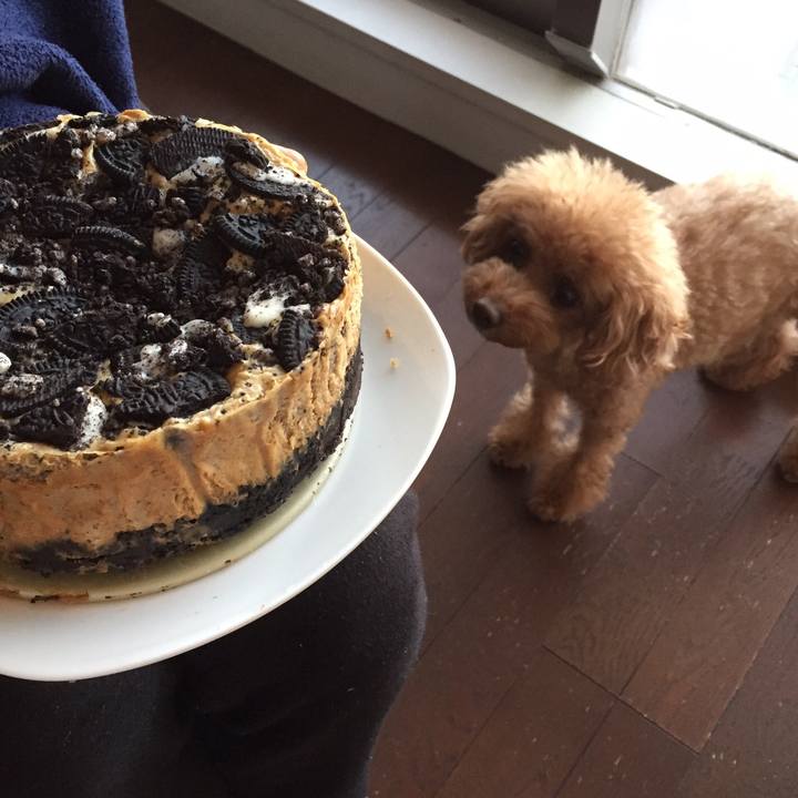 C125b787 7936 4d83 8924 cf8c4fbf9227