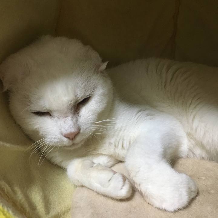 C125bc34 d40b 4410 9da5 a9b8b5838955