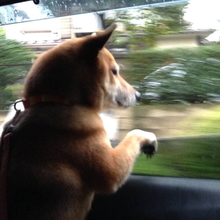 C125ee1d c82d 4b30 a557 3858a131088d