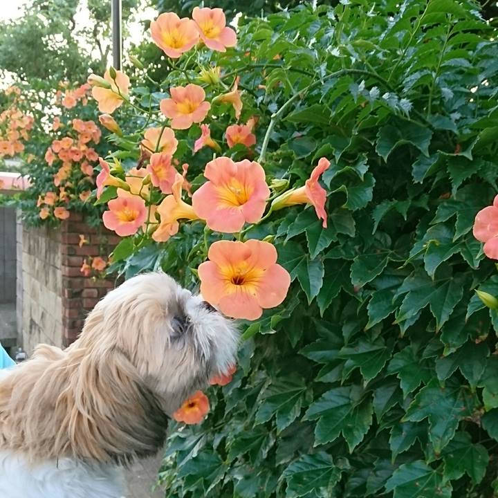 C1266bc1 10f9 4eaf 8baf c66a84147a99