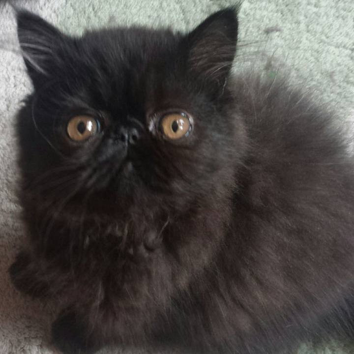 C126f3d2 f9c5 444d 87a8 56aef878ad65