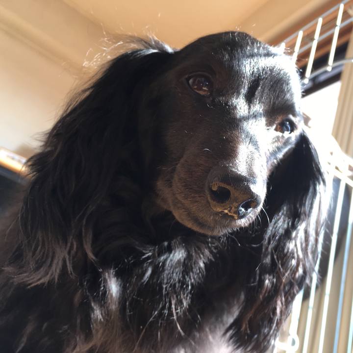 C127136f 1bcd 417b 961b 23f047b90e04