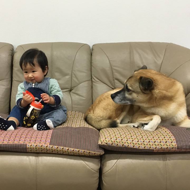 C1289957 c3fb 4a64 bb63 660f0680d76e