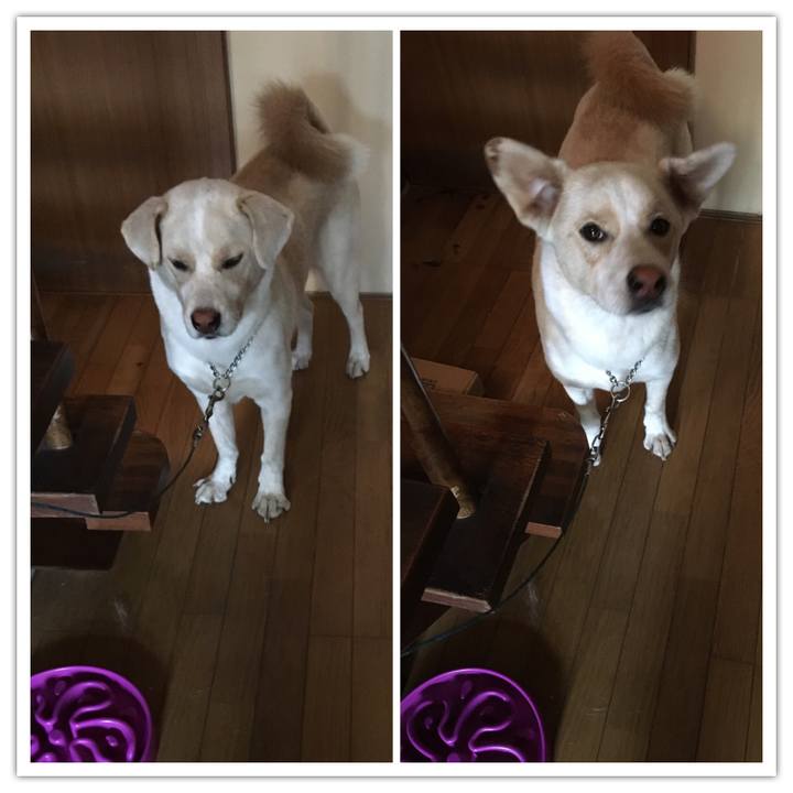 C128da30 3d6f 4272 8d0c 85a7f5f10770