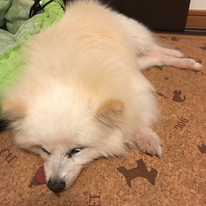 C1290837 d6a8 4181 874b b9dc0bd1c8f6