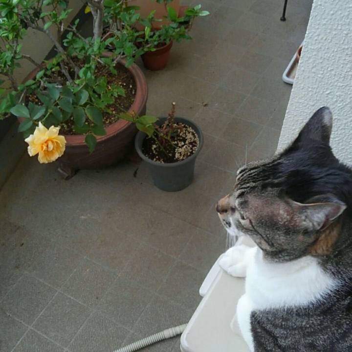 C1294161 80b0 4e16 af73 e6c3b64807d1