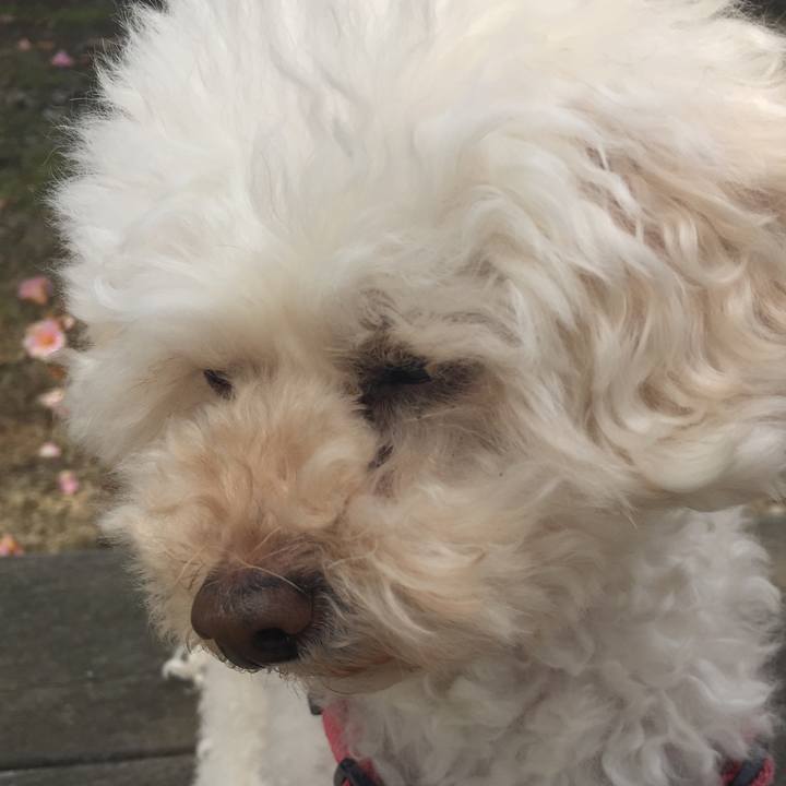 C12980be 2974 476e afcf b0a29989665c