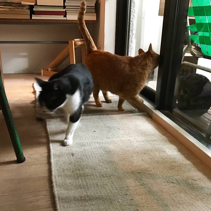 C129f8bf a310 4afb a69b 7e7f6d4d9e75