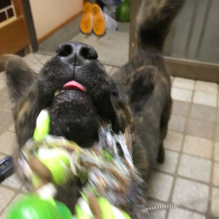 C12b8050 6fe8 4cbb 959e 7e20882d67b7