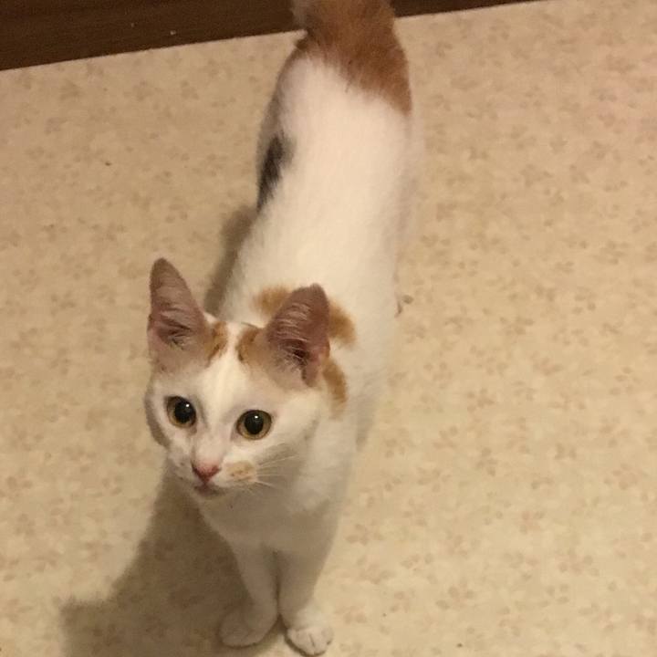 C12b8665 5098 4cd7 add9 1f5506096259