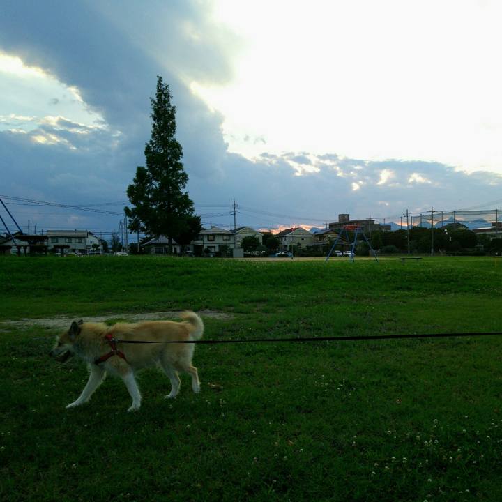 C12b9509 53d3 465e 82a7 45ff1bea0de7