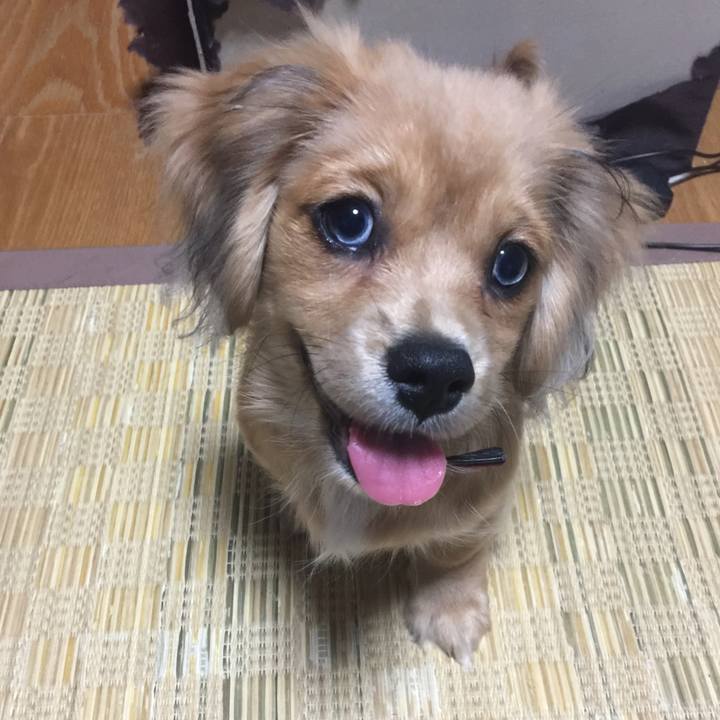 C12c4855 ef49 4118 b304 a3d29a7a4992