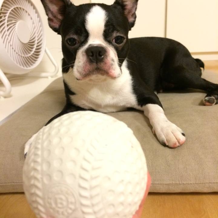 C12c5763 afd3 4bb4 b623 cc5c9b2598b4