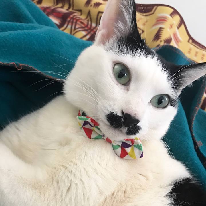 C12c98c5 ef2f 45b2 be0e 78eb32447309