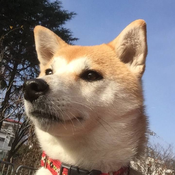 C12d0609 ed50 4f0d 8583 b9616ac80a75