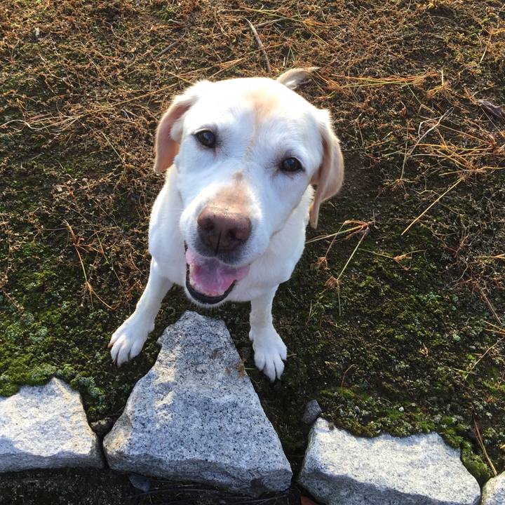 C12d81ea 70fa 480e b1eb 4373a2b8bd1e