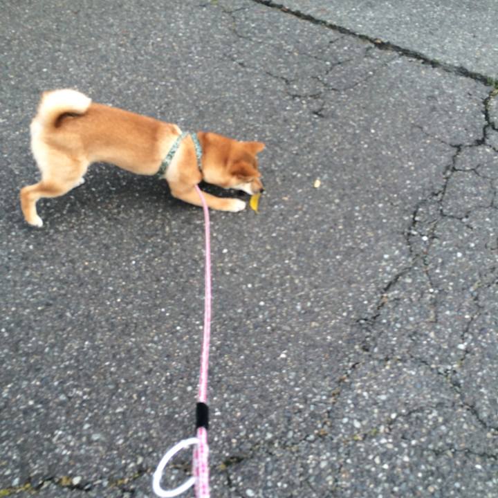 C12daf1a 2b8e 440e 8a74 cbfd6482071f