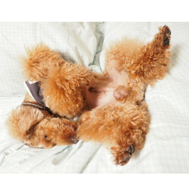 C12dec74 75ca 49ef a30d acc5f4875258