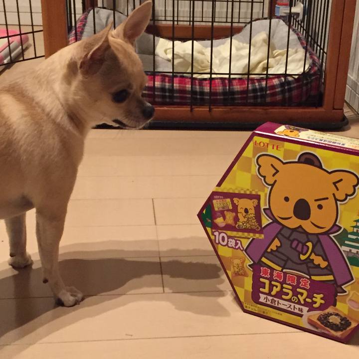 C12e0cc9 d67e 4de3 8a95 647378dcb1e4