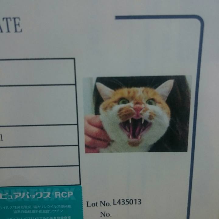 C12e8d1e 6148 4b9b 9322 0083dd3ac0a6