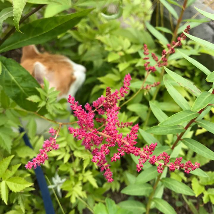 C12e9d1c 9533 4ea5 9d48 f38058a301a5