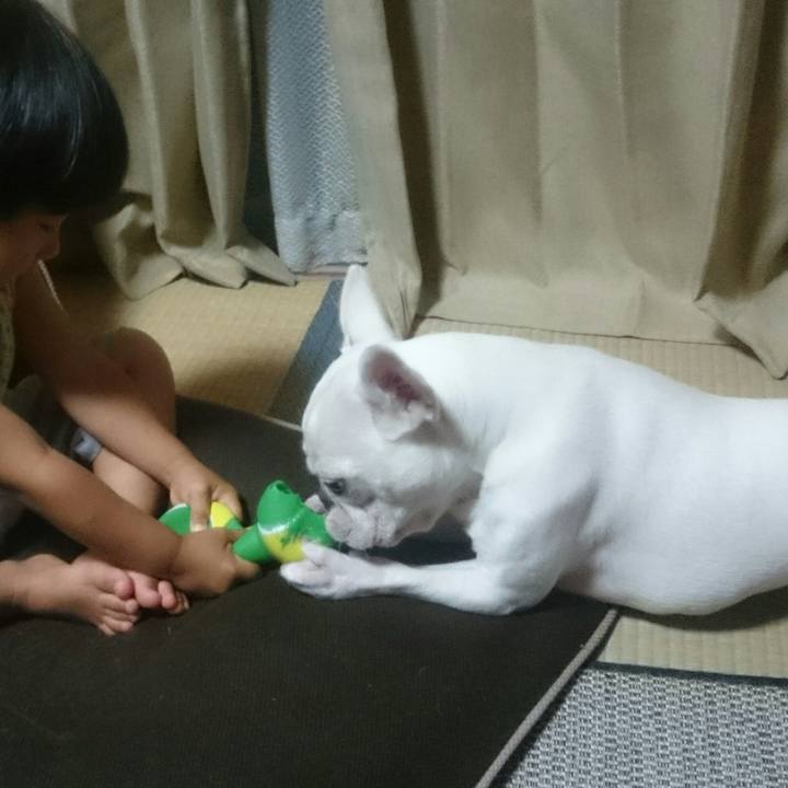 C12f4964 3a25 4b49 b320 95929e91c0d5