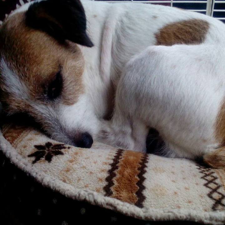 C12f65e6 9919 4fa0 88e5 a346e670de4e