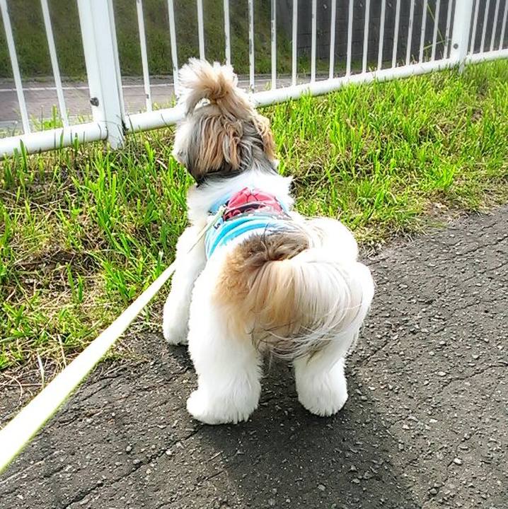 C12f87bd 56be 4831 bf10 c221a67577d5