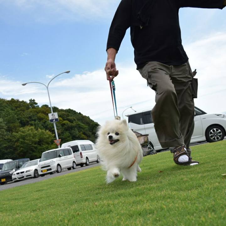 C12f89ce d3b4 4e0a 980c 7ff568fc32fc