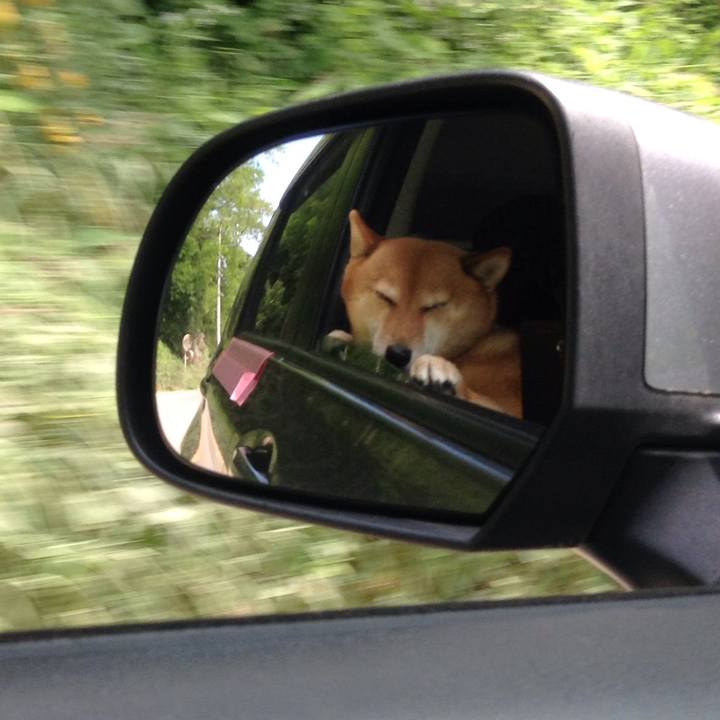 C12fdf8c aa9d 4b8a ad37 b6f9bf13da01