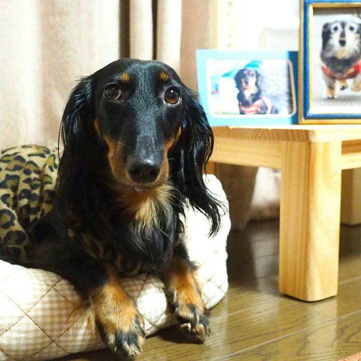 C12ff3b0 1def 4fc6 b826 4f83e51b15a3