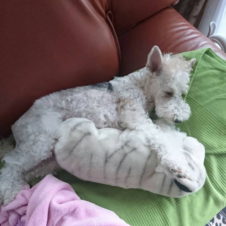 C1300506 7eee 4153 83d0 7fc4b719de50