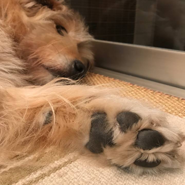 C130ab2a 12ab 4175 81d2 f05d1df8acea