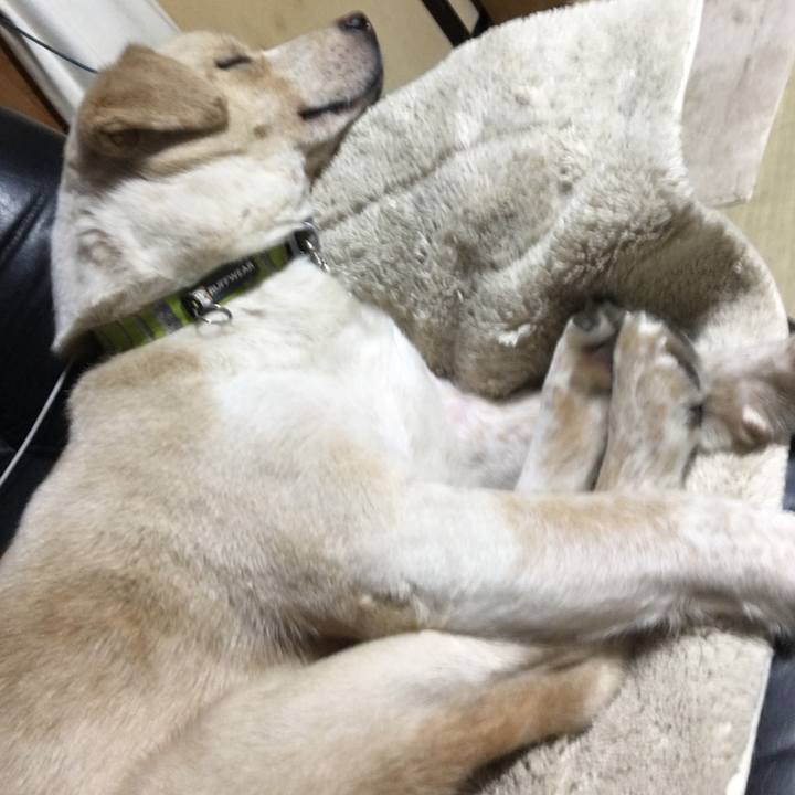 C130c16d 1071 4d50 b85e dbdc05b66fec