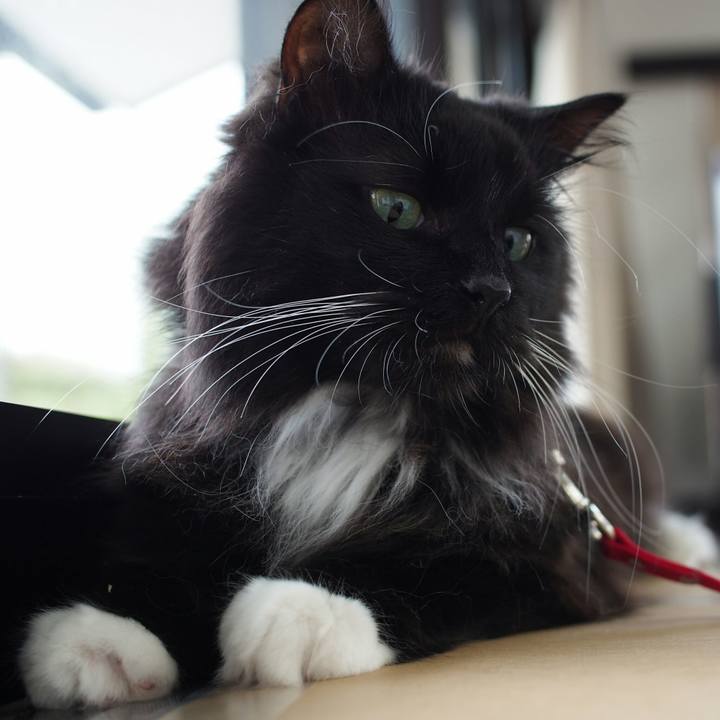 C13114ad 772a 4dc3 9348 aa9f64e2ca67