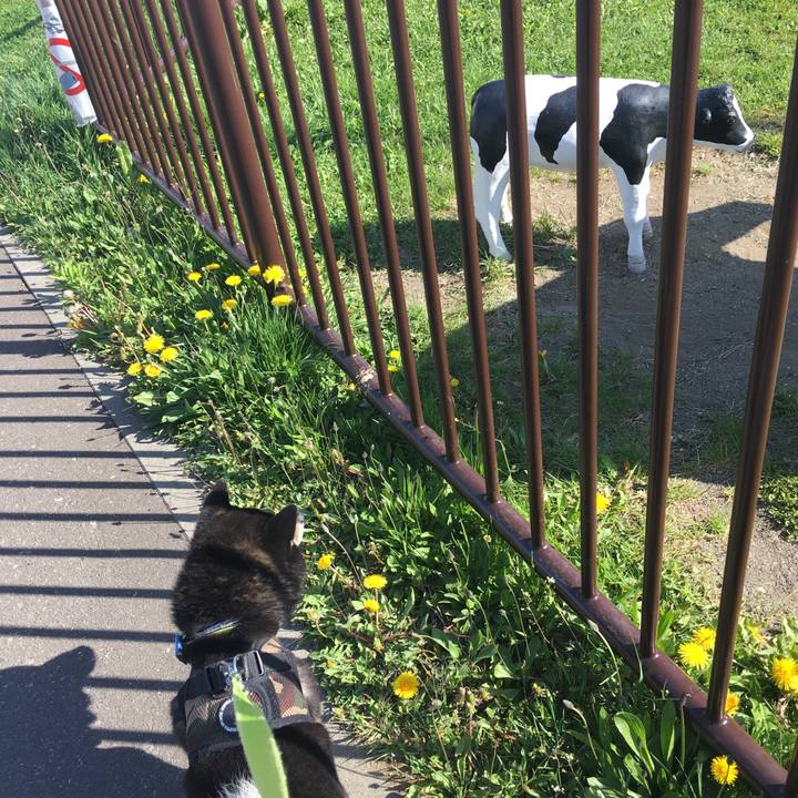 C1319b87 f577 4691 a591 fc5685516db2