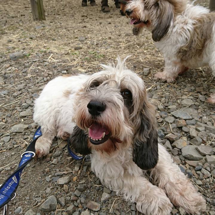 C1333e5e dec1 4975 8d0a 01bc23b9dcaf