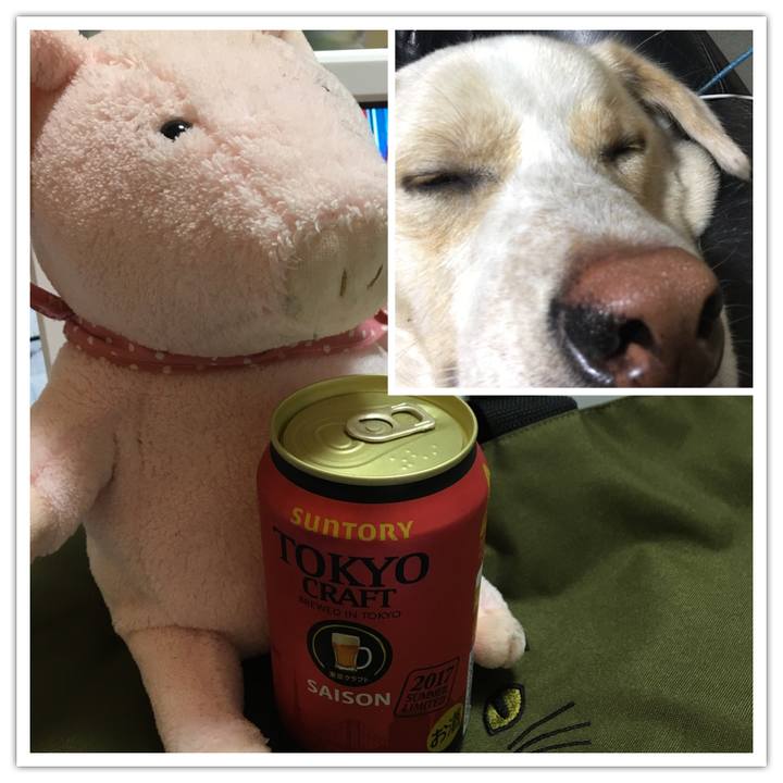 C1335275 9d35 4edf 8fb7 43a9b60c44b6