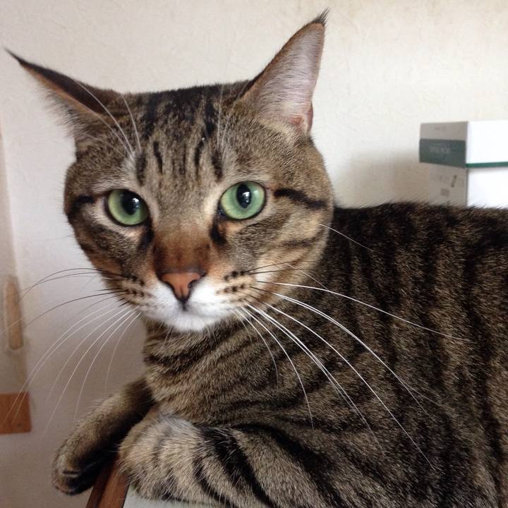 C133defb ae72 4043 aea9 c4f696d06680