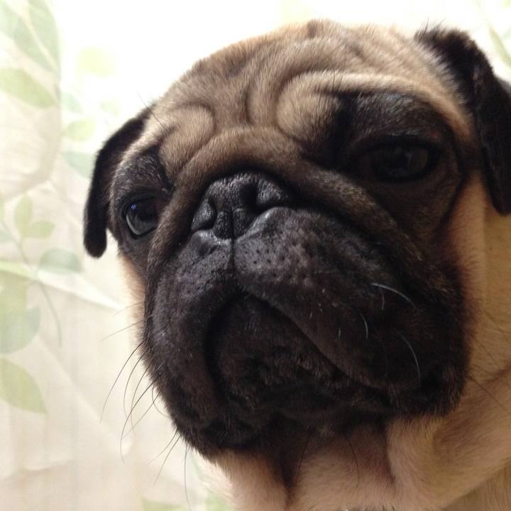 C1342036 e8b9 41c3 b4d2 7d7ee34d0348