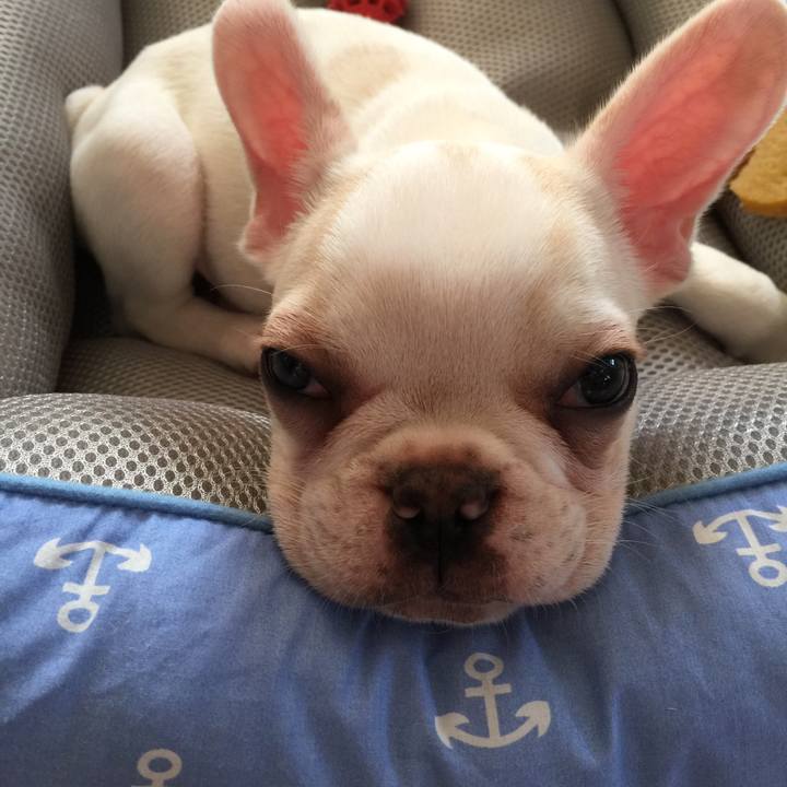 C1344cd5 e14b 42db 8aaf 8b262e803e57