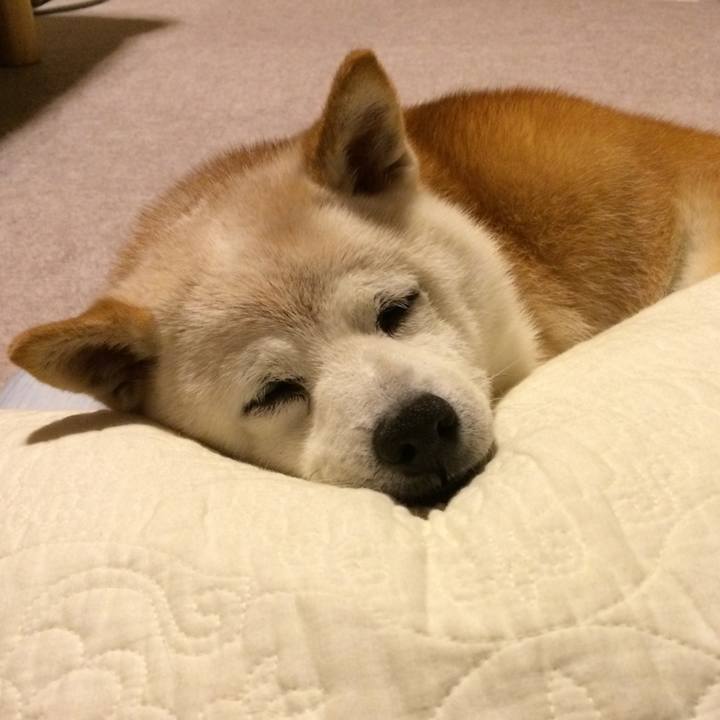 C13678ff 0522 47bb aafa c6d1a1d66fba