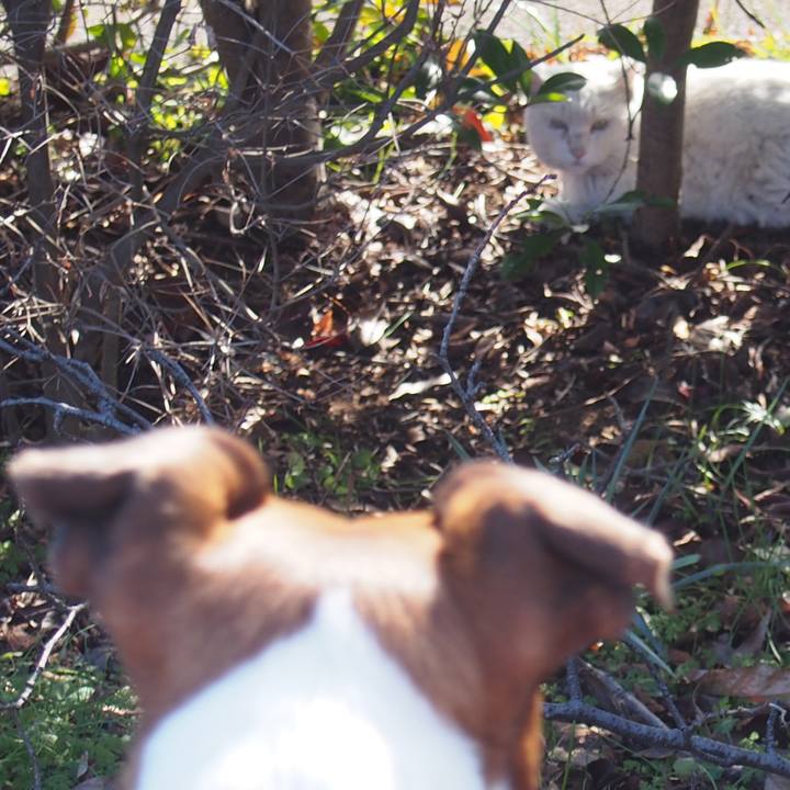 C136e34a 2840 4b2d 888a 429001beac68