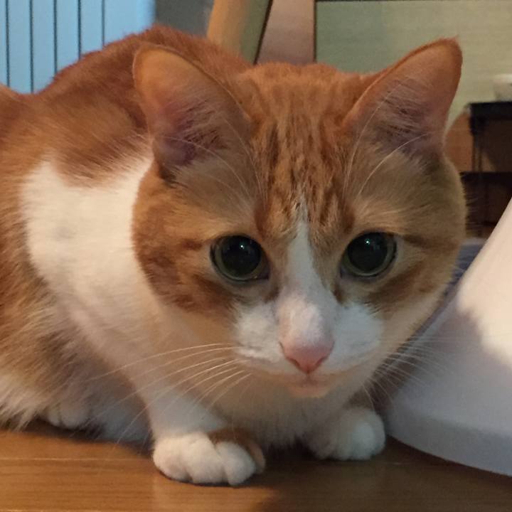 C13743ed d530 4c68 980a b0dbe695db4a