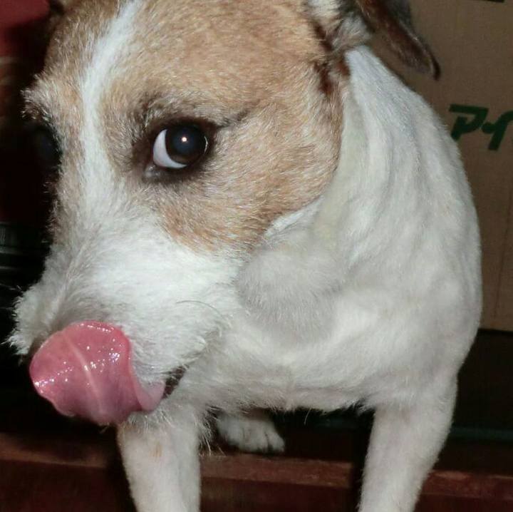 C137e8c1 9d95 40f8 9bf6 ac5bb88484a7