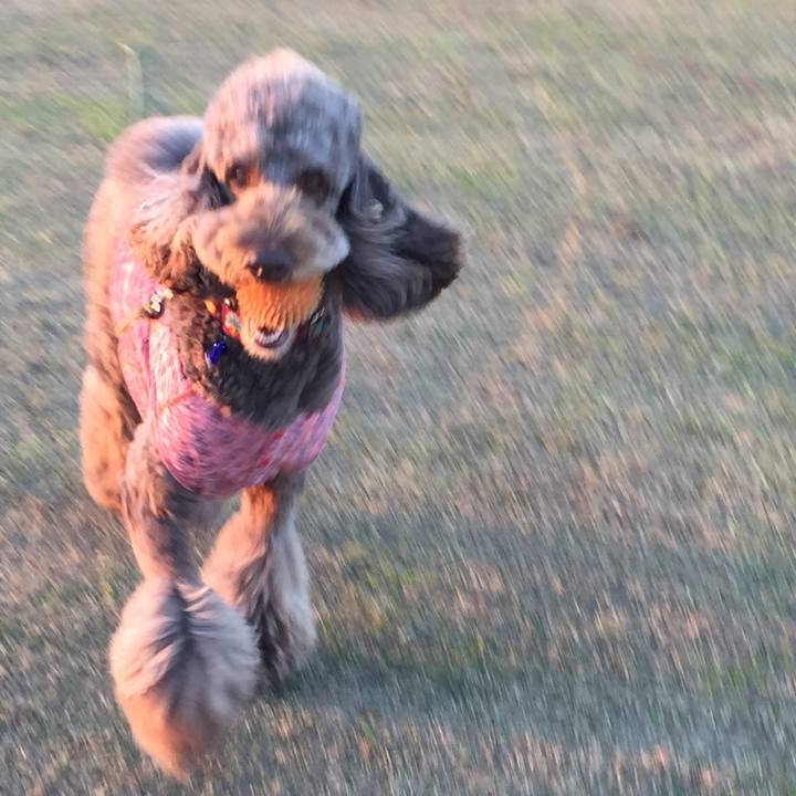 C1380e25 2709 4bb6 970a 64fa50f61b16