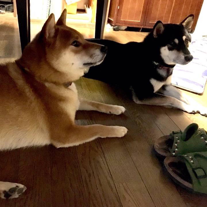 C138eccc 0891 4023 b1c2 7e988eb13733