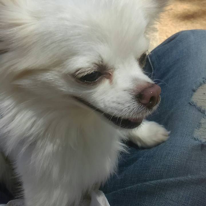 C139518a bf3b 41bc 8afd 44e921a8720b