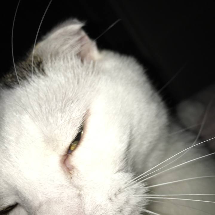 C13a7f0b 561d 4d1c 868e 7a80b4471735